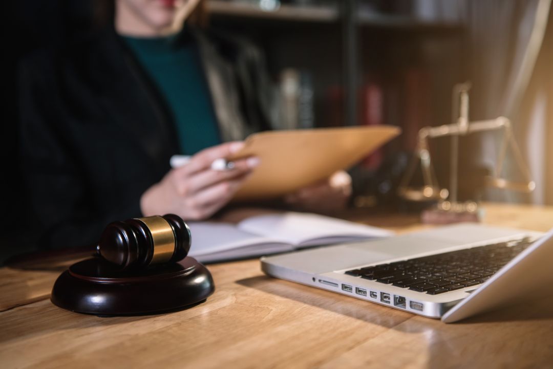 Curso de Direito Processual do Trabalho: Princípios do Processo do Trabalho